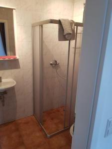 um chuveiro com uma porta de vidro na casa de banho em Zimmervermietung Heggemann em Lingen