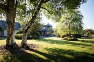 a large tree in front of a house at Kathleens Country House in Killarney
