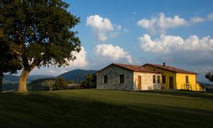 a yellow house on a field with a tree at La Cerqua in Arcevia