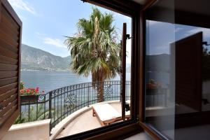 een kamer met uitzicht op de oceaan en een palmboom bij Maniva penthouse by the sea in Kotor