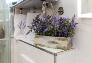 pojemnik z fioletowymi kwiatami na półce w łazience w obiekcie VILLA" ARIJANA 2"2nd row from the sea w Slatine