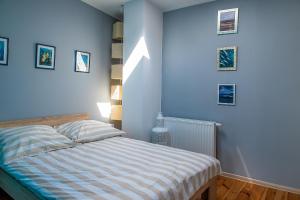 a bedroom with a bed and a blue wall at Villa Koffi Apartments 16 plus in Puck