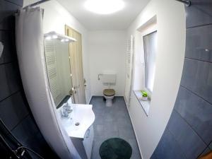 a bathroom with a white sink and a toilet at The Jungle Apartments and Rooms (Vila Džungla) in Bled