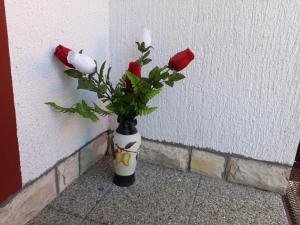 Galeriebild der Unterkunft Apartment Seoski Mir in Vukelići