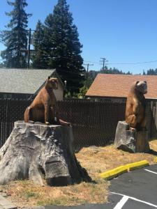 two statues of bears sitting on rocks in a parking lot at Lone Pine Motel in Garberville