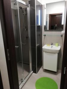 Koupelna v ubytování Apartmán Diamond