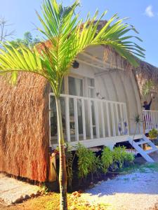 uma palmeira em frente a uma casa com um alpendre em Maleo Moyo Hotel & Dive Resort em Moyo Island