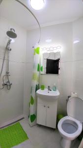 a bathroom with a toilet and a sink and a mirror at City center flats - Unirii Square in Bucharest