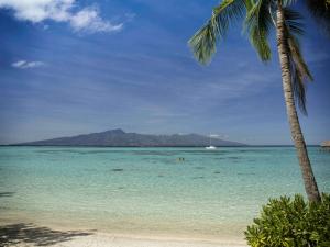 a beach with two palm trees and a boat in the water at Sofitel Kia Ora Moorea Beach Resort in Maharepa