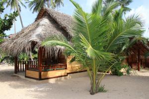 una pequeña cabaña en la playa con una palmera en Shiva's Beach Cabanas, en Tangalle