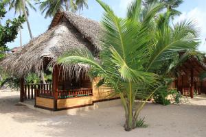 Fotografie z fotogalerie ubytování Shiva's Beach Cabanas v Tangalle