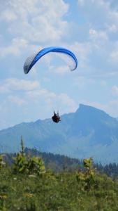 una persona volando un paracaídas en el cielo en Ferienwohnung Dünser, en Bezau
