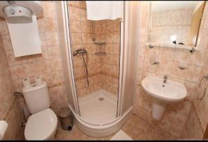 a bathroom with a shower and a toilet and a sink at Althanský palác in Znojmo +24 photos