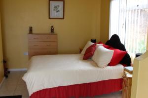 a bedroom with a bed with red and white pillows at Richards Travel Lodge in Jamestown
