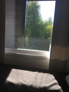 a window with a view of a tree at Paljakka Villas in Kotila