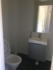 ein Badezimmer mit einem WC, einem Waschbecken und einem Spiegel in der Unterkunft Paljakka Villas in Kotila