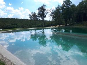 una grande piscina d'acqua con alberi sullo sfondo di Agriturismo San Galgano a Chiusdino