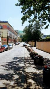 Okolica w pobliżu tego apartamentu