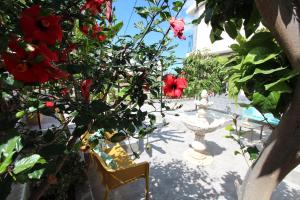 a garden with red flowers and a fountain at ViVaTenerife - Gorgeous villa with heated pool in Buzanada