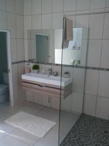 a bathroom with a sink and a mirror at St Lucia Kingfisher Lodge in St Lucia