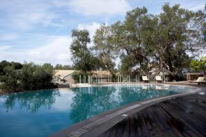 ein Schwimmbecken mit blauem Wasser und Bäumen in der Unterkunft Torri E Merli Hotel by GHH in Lákka
