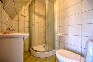 a bathroom with a shower and a toilet and a sink at Domki przy zalewie in Kamień Pomorski