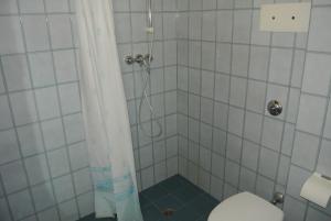 a bathroom with a shower with a toilet at Appartamento SCHUBERT B in Lignano Sabbiadoro