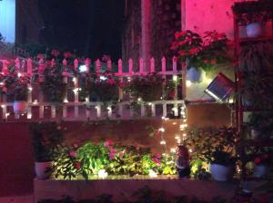 Giardino di Bình Đào Hotel - Khách sạn ngay trung tâm giá rẻ