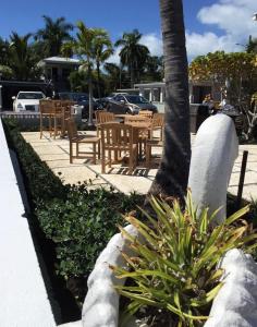 a garden with chairs and tables and a tree at Harborside Motel & Marina in Key West