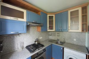 イヴァノヴォにあるApartment on Lenina 98のキッチン(青いキャビネット、コンロ付)