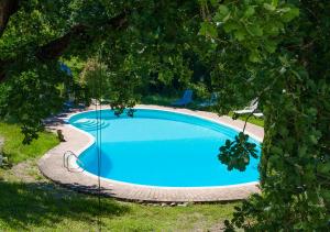 an overhead view of a large blue swimming pool at Il Rifugio Pecorella - Pura SmartVegFarmhouse in Alvignano