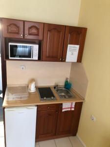 eine kleine Küche mit einer Spüle und einer Mikrowelle in der Unterkunft Mosoly Apartman in Szeged
