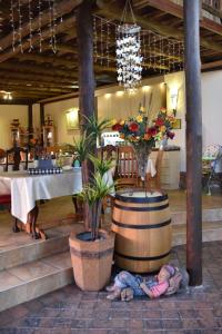 a person laying on the ground in a room with a table at The Cedars Bed and Breakfast in Centurion