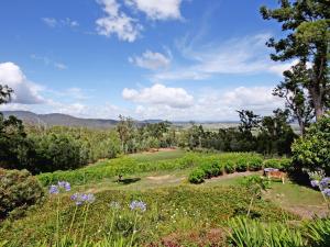 a lush green field surrounded by trees and shrubs at Wallaby Ridge Retreat in Mount Tamborine