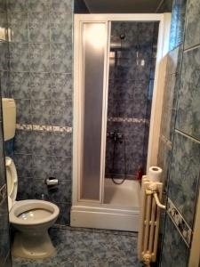 a bathroom with a shower and a toilet and a tub at Hotel 24 jul in Pljevlja