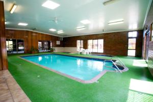 a large swimming pool with green flooring and a pooliterator at Golden Grain Motor Inn in Horsham