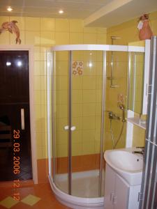 a bathroom with a shower and a toilet and a sink at House of relaxation in Zgornja Sorica