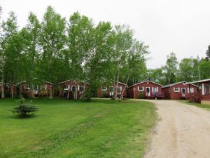 a dirt road in front of a row of houses at Lush's Cottages in Cormack