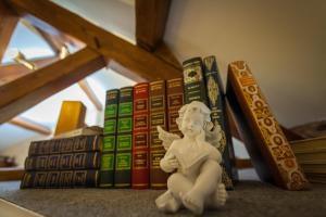Knihovna v bed and breakfast