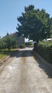 una strada con un albero al centro di Tig Rua a Killarney