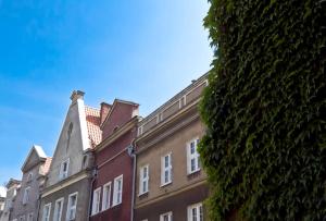 a building with a green hedge in front of it at Classic Apartment with Private Sauna in Old Town in Gdańsk