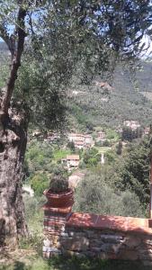 Gallery image of Il colle di Abramo casa vacanze Enrica in Pietrasanta