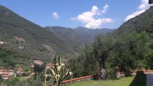 - une vue sur une vallée avec des montagnes en arrière-plan dans l'établissement Il colle di Abramo casa vacanze Enrica, à Pietrasanta
