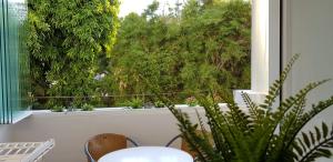 A garden outside Apartamento Auténtico Playa