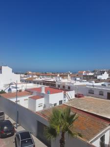 a view of a parking lot with a palm tree at Mar in Isla del Moral
