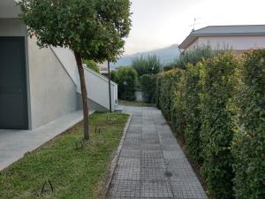 Zahrada ubytování Sicily for Rent
