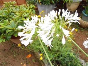 Gallery image of Villa Agapenthe in Cluny