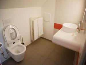 ein Badezimmer mit einem weißen WC und einem Waschbecken in der Unterkunft Le Petit Pont in Moncé-en-Belin