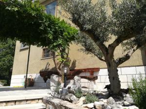 ein Baum vor einem Gebäude in der Unterkunft Residence Ruje in Prepotto