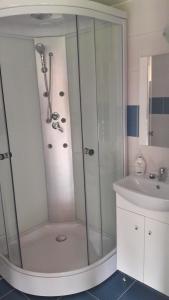 een douche met een glazen deur naast een wastafel bij Casa AnaMaria in Turda